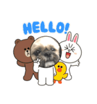 みうらふぃーの愛犬では無い（個別スタンプ：22）