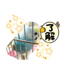 セキセイインコのミィちゃん❣️☆♡（個別スタンプ：12）