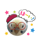 セキセイインコのミィちゃん❣️☆♡（個別スタンプ：16）
