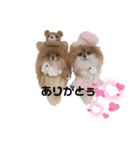 いぬちゃんとねこちゃん④（個別スタンプ：1）