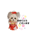 いぬちゃんとねこちゃん④（個別スタンプ：2）