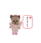 いぬちゃんとねこちゃん④（個別スタンプ：7）