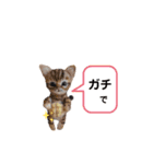 いぬちゃんとねこちゃん④（個別スタンプ：10）