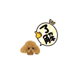 いぬちゃんとねこちゃん④（個別スタンプ：12）