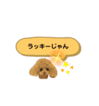 いぬちゃんとねこちゃん④（個別スタンプ：13）