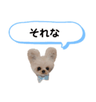 いぬちゃんとねこちゃん④（個別スタンプ：14）