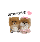 いぬちゃんとねこちゃん④（個別スタンプ：21）