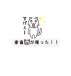 素直ねこの吹き出し風スタンプ（個別スタンプ：39）