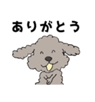 ちょい悪犬トイプーのぷーすけ（個別スタンプ：12）