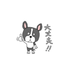 わんこちゃんくん（個別スタンプ：8）