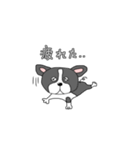 わんこちゃんくん（個別スタンプ：15）