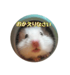 我が家のハムスターの日常スタンプ（個別スタンプ：22）