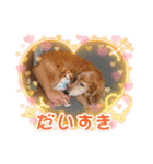 レオ家族2（個別スタンプ：21）