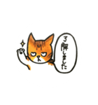 猫どん。挨拶（個別スタンプ：5）