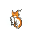 猫どん。挨拶（個別スタンプ：8）