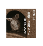 みほちゃんち。（個別スタンプ：5）