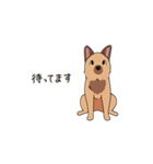 甲斐犬のコルト（個別スタンプ：5）