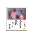 毎日キュートなめいちゃん（個別スタンプ：2）