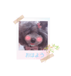 毎日キュートなめいちゃん（個別スタンプ：10）