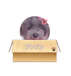 毎日キュートなめいちゃん（個別スタンプ：16）