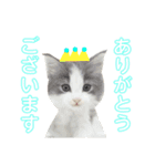 ろくもねスタンプNORMAL（個別スタンプ：1）