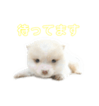 ろくもねスタンプNORMAL（個別スタンプ：2）