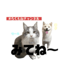 ろくもねスタンプNORMAL（個別スタンプ：7）