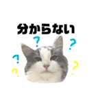 ろくもねスタンプNORMAL（個別スタンプ：12）