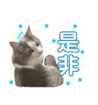 ろくもねスタンプNORMAL（個別スタンプ：14）