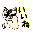 ちょいワル猫さんパート2（個別スタンプ：11）