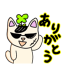 ちょいワル猫さんパート2（個別スタンプ：12）