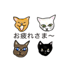 おしゃべりな可愛いねこたち（個別スタンプ：8）