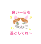 おしゃべりな可愛いねこたち（個別スタンプ：15）