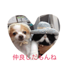 ぶんちゃんだよ1（個別スタンプ：3）