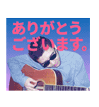 使いやすい！社長LINEスタンプ（個別スタンプ：1）