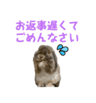 たれみみうさぎの家族で日常スタンプ（個別スタンプ：13）