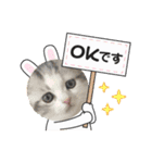 ぴのとあののスタンプ♡（個別スタンプ：1）