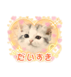 ぴのとあののスタンプ♡（個別スタンプ：15）