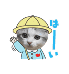 ぴのとあののスタンプ♡（個別スタンプ：17）