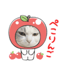 ぴのとあののスタンプ♡（個別スタンプ：18）