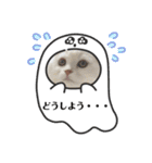 ぴのとあののスタンプ♡（個別スタンプ：20）