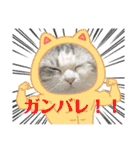 ぴのとあののスタンプ♡（個別スタンプ：23）