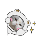ぴのとあののスタンプ♡（個別スタンプ：25）