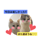 ぴのとあののスタンプ♡（個別スタンプ：32）