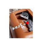 レオパ部2（個別スタンプ：4）
