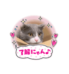 うめずくし（個別スタンプ：5）