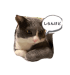うめずくし（個別スタンプ：8）