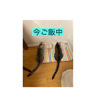 サバ色の猫（個別スタンプ：6）