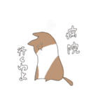 さるお犬（個別スタンプ：18）