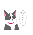 さるお犬（個別スタンプ：23）